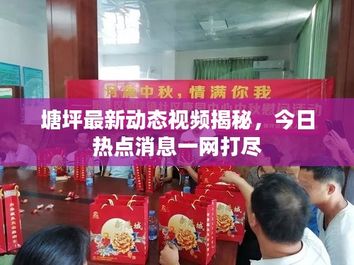 塘坪最新動態(tài)視頻揭秘，今日熱點消息一網(wǎng)打盡
