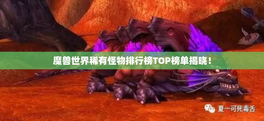 魔獸世界稀有怪物排行榜TOP榜單揭曉！