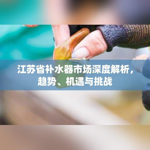 江蘇省補(bǔ)水器市場深度解析，趨勢、機(jī)遇與挑戰(zhàn)