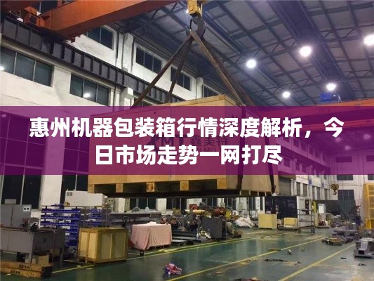 惠州機(jī)器包裝箱行情深度解析，今日市場走勢一網(wǎng)打盡