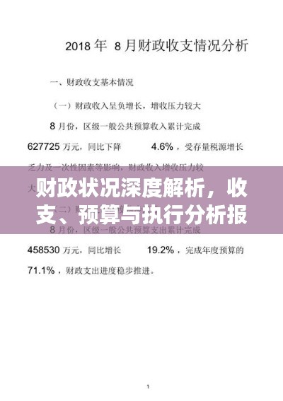 財(cái)政狀況深度解析，收支、預(yù)算與執(zhí)行分析報(bào)告