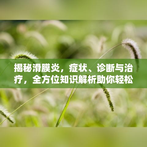 揭秘滑膜炎，癥狀、診斷與治療，全方位知識解析助你輕松應(yīng)對！