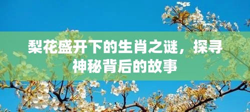 梨花盛開下的生肖之謎，探尋神秘背后的故事