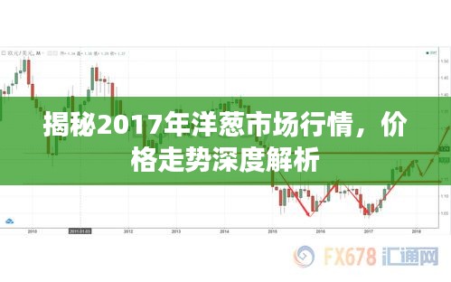 揭秘2017年洋蔥市場行情，價格走勢深度解析