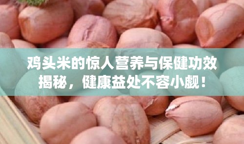 雞頭米的驚人營養(yǎng)與保健功效揭秘，健康益處不容小覷！