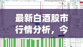 最新白酒股市行情分析，今日股價(jià)走勢(shì)揭秘