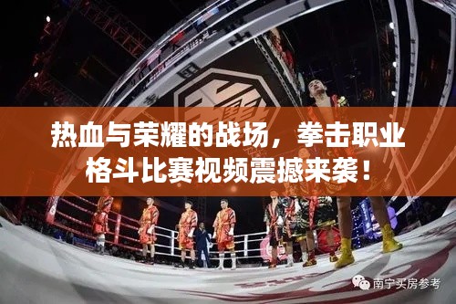 熱血與榮耀的戰(zhàn)場，拳擊職業(yè)格斗比賽視頻震撼來襲！