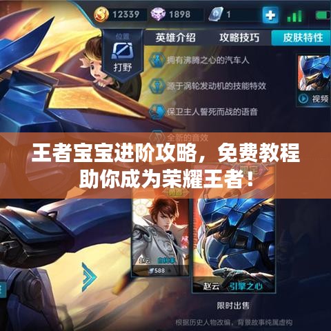 王者寶寶進(jìn)階攻略，免費教程助你成為榮耀王者！