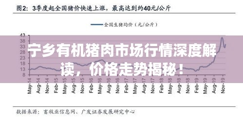 寧鄉(xiāng)有機(jī)豬肉市場行情深度解讀，價(jià)格走勢揭秘！