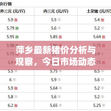 萍鄉(xiāng)最新豬價(jià)分析與觀察，今日市場動態(tài)揭秘