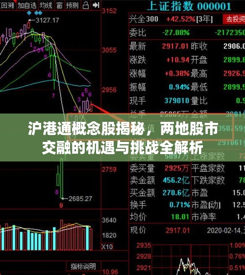 滬港通概念股揭秘，兩地股市交融的機(jī)遇與挑戰(zhàn)全解析