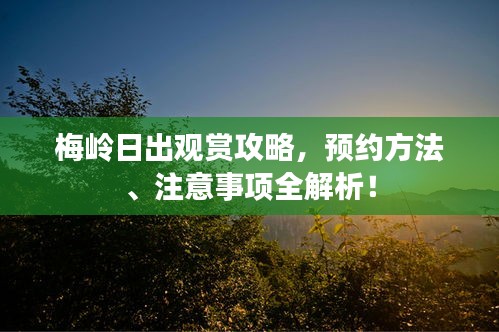 梅嶺日出觀賞攻略，預(yù)約方法、注意事項(xiàng)全解析！