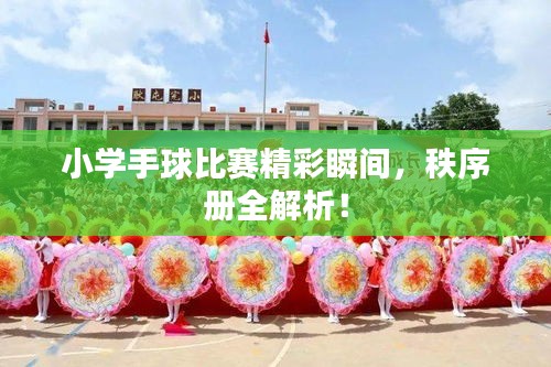 小學(xué)手球比賽精彩瞬間，秩序冊(cè)全解析！