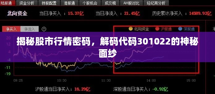 揭秘股市行情密碼，解碼代碼301022的神秘面紗