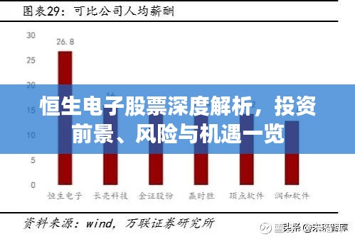 恒生電子股票深度解析，投資前景、風(fēng)險與機(jī)遇一覽