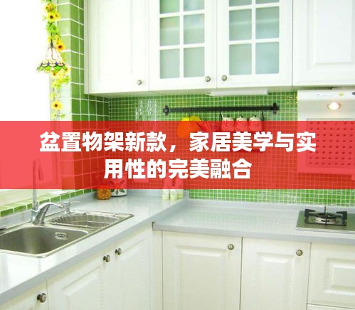 盆置物架新款，家居美學(xué)與實(shí)用性的完美融合