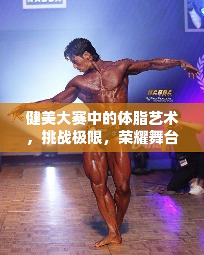健美大賽中的體脂藝術(shù)，挑戰(zhàn)極限，榮耀舞臺