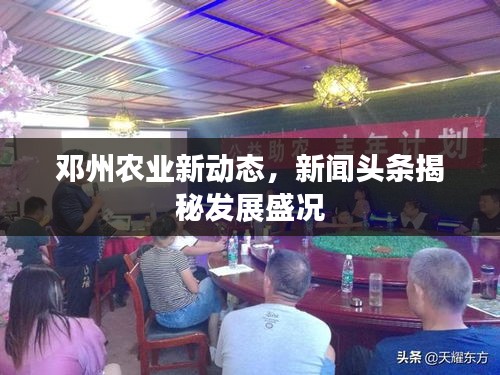 鄧州農(nóng)業(yè)新動(dòng)態(tài)，新聞?lì)^條揭秘發(fā)展盛況