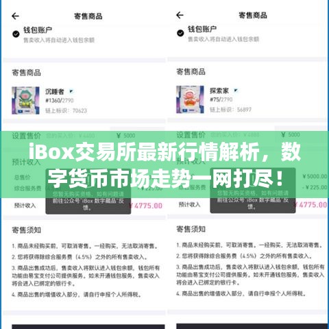 iBox交易所最新行情解析，數(shù)字貨幣市場走勢一網(wǎng)打盡！