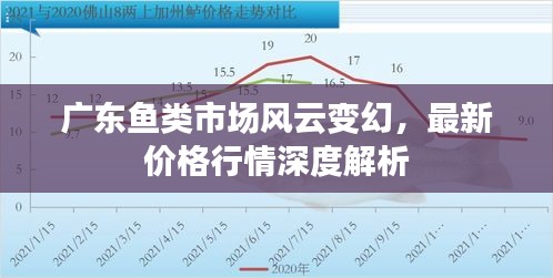 廣東魚類市場風云變幻，最新價格行情深度解析
