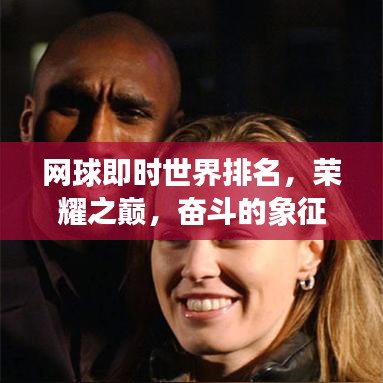 網(wǎng)球即時(shí)世界排名，榮耀之巔，奮斗的象征