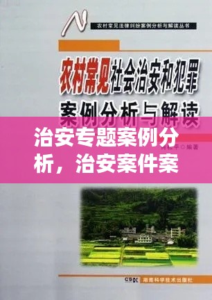 治安專題案例分析，治安案件案例 
