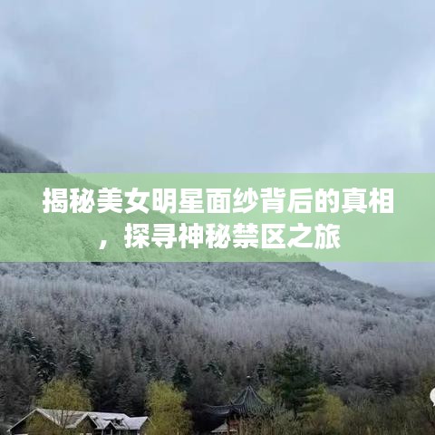 揭秘美女明星面紗背后的真相，探尋神秘禁區(qū)之旅