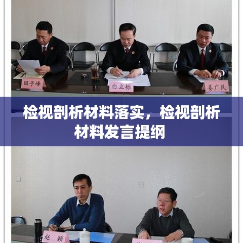 檢視剖析材料落實(shí)，檢視剖析材料發(fā)言提綱 