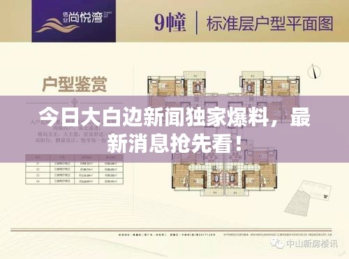 今日大白邊新聞獨家爆料，最新消息搶先看！