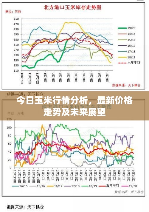今日玉米行情分析，最新價(jià)格走勢(shì)及未來(lái)展望