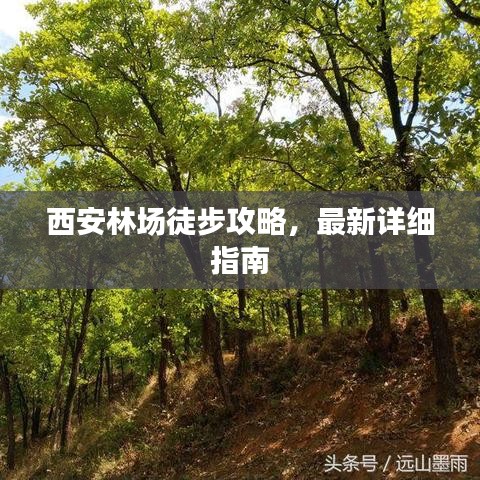 西安林場徒步攻略，最新詳細(xì)指南