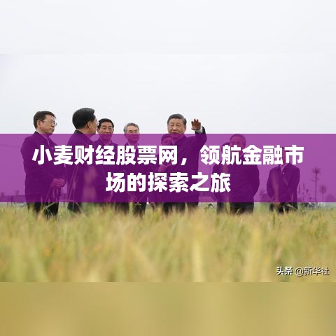 小麥財(cái)經(jīng)股票網(wǎng)，領(lǐng)航金融市場(chǎng)的探索之旅