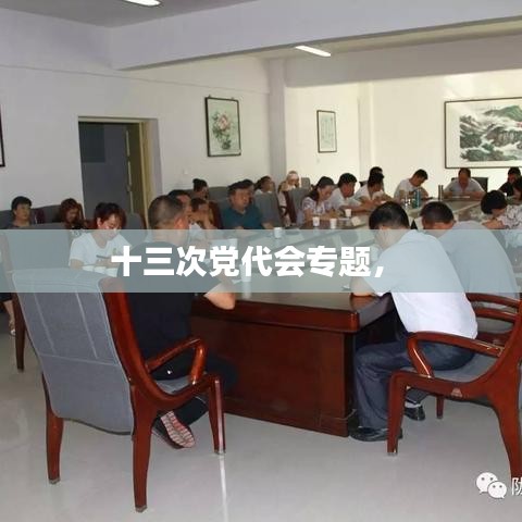 十三次黨代會專題， 