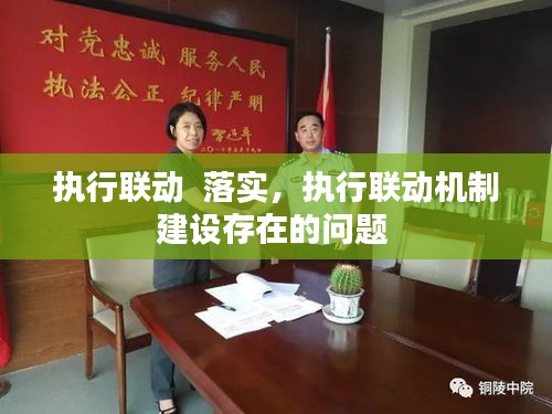 執(zhí)行聯(lián)動(dòng)  落實(shí)，執(zhí)行聯(lián)動(dòng)機(jī)制建設(shè)存在的問題 