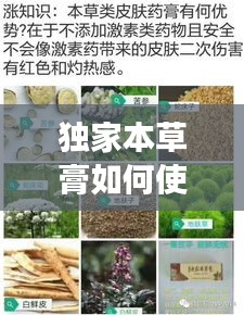 獨(dú)家本草膏如何使用，獨(dú)家本草膏有副作用嗎 