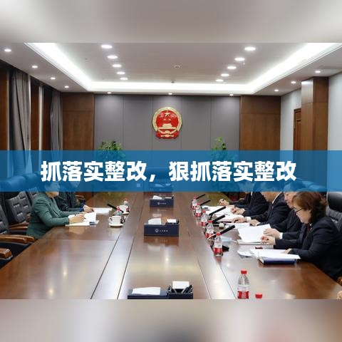 抓落實整改，狠抓落實整改 