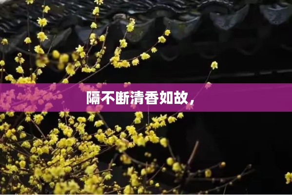 隔不斷清香如故， 