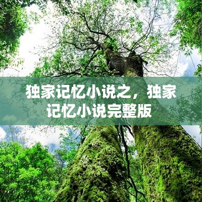 獨家記憶小說之，獨家記憶小說完整版 