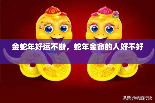 金蛇年好運(yùn)不斷，蛇年金命的人好不好 