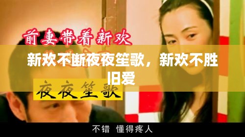 新歡不斷夜夜笙歌，新歡不勝舊愛 