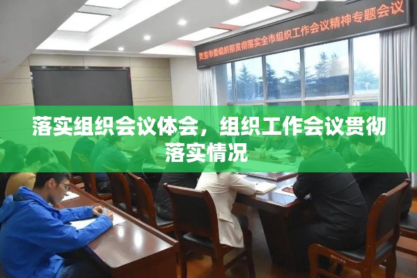 落實(shí)組織會(huì)議體會(huì)，組織工作會(huì)議貫徹落實(shí)情況 