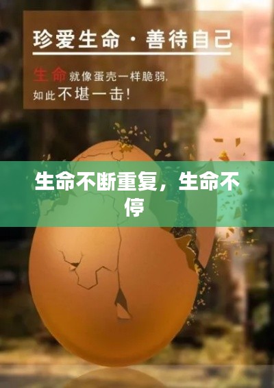 第15頁