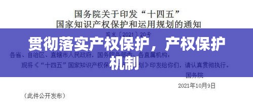 貫徹落實產(chǎn)權(quán)保護(hù)，產(chǎn)權(quán)保護(hù)機(jī)制 