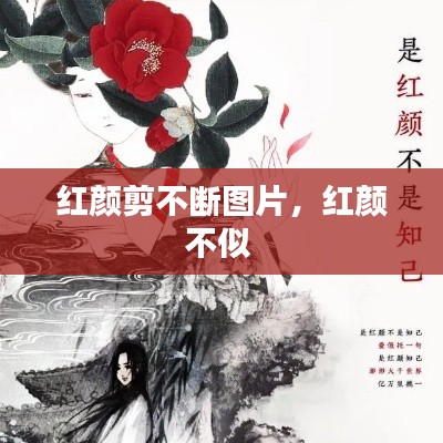 紅顏剪不斷圖片，紅顏不似 