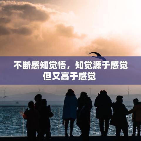 不斷感知覺悟，知覺源于感覺但又高于感覺 