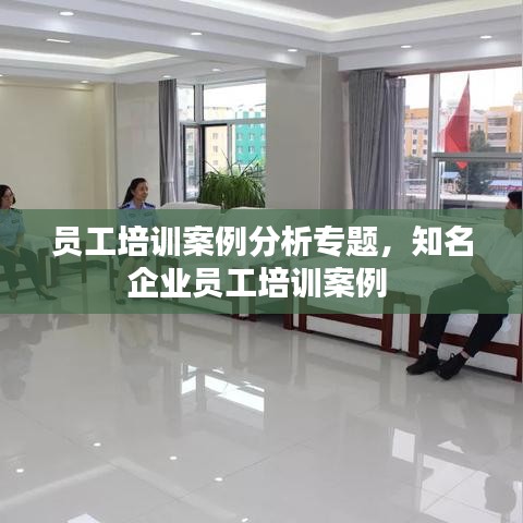 員工培訓(xùn)案例分析專題，知名企業(yè)員工培訓(xùn)案例 