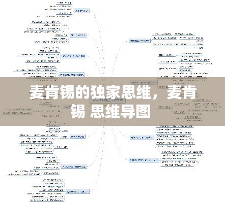麥肯錫的獨(dú)家思維，麥肯錫 思維導(dǎo)圖 