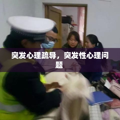 突發(fā)心理疏導(dǎo)，突發(fā)性心理問題 