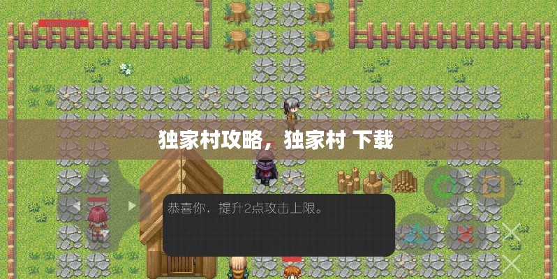 獨(dú)家村攻略，獨(dú)家村 下載 