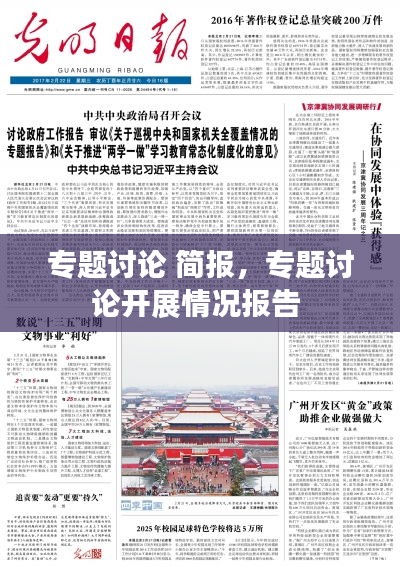 專題討論 簡報，專題討論開展情況報告 